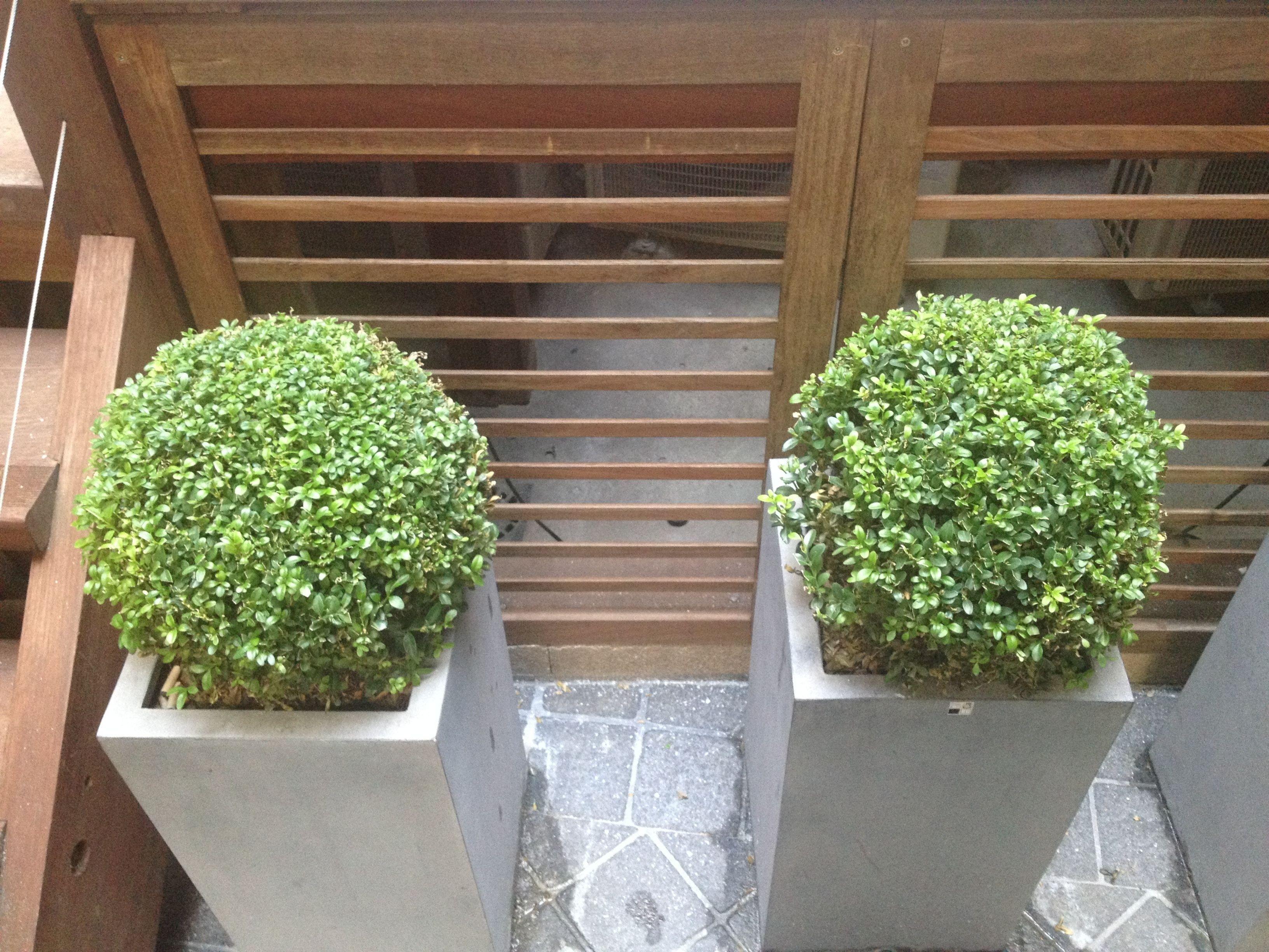 Elysees Flaubert Hotel Paris