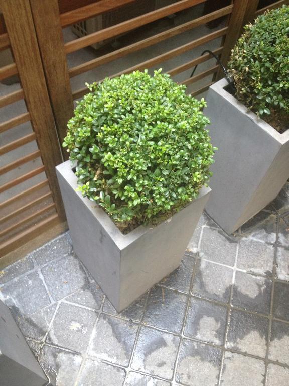 Elysées Flaubert Hotel 3*